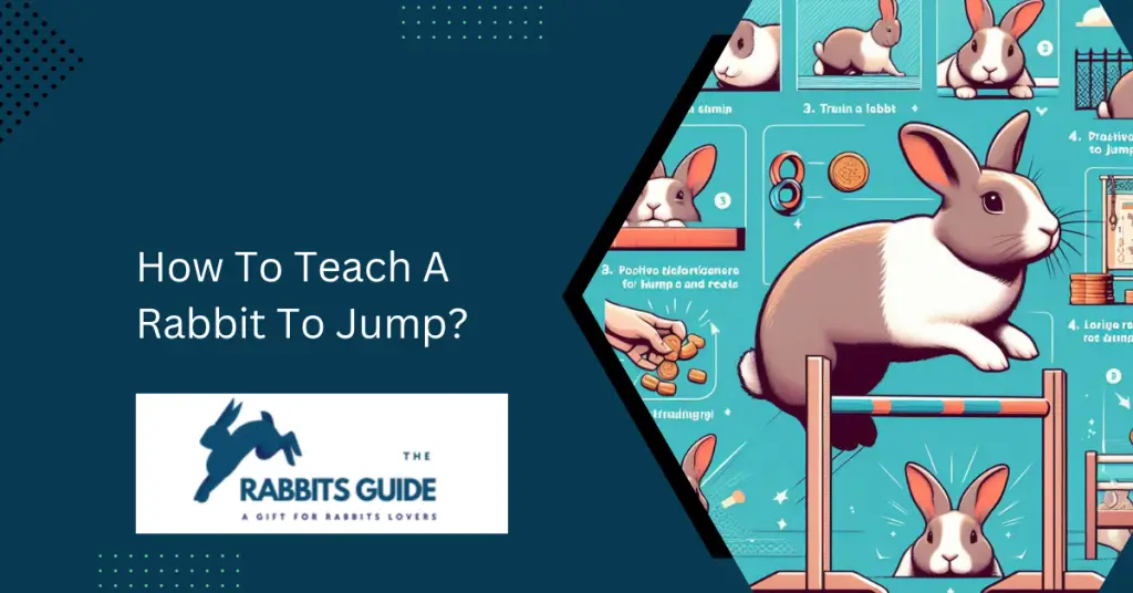 How To Teach A Rabbit To Jump?
