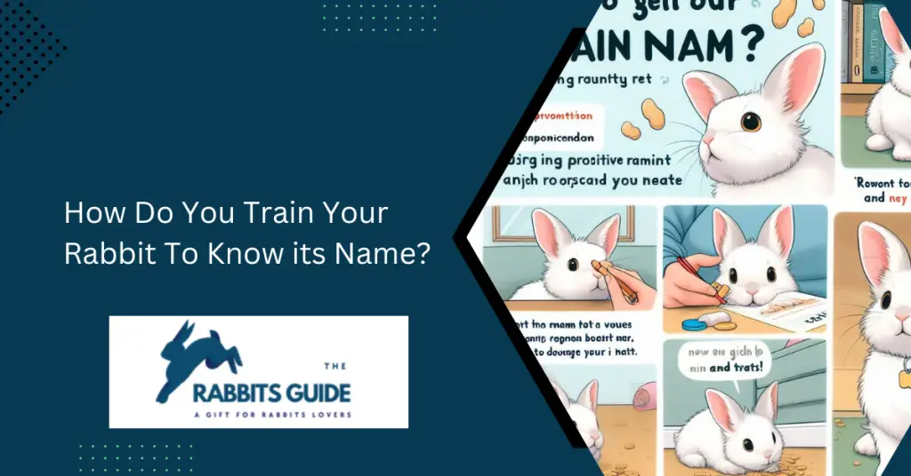 How Do You Train Your Rabbit To Know its Name?
