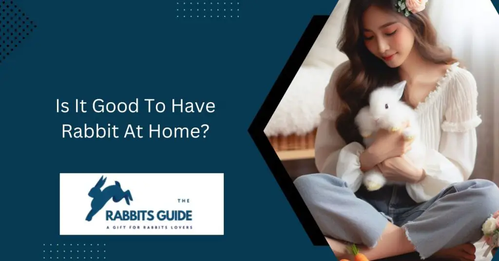 Is It Good To Have Rabbit At Home? 1 Is It Good To Have Rabbit At Home?