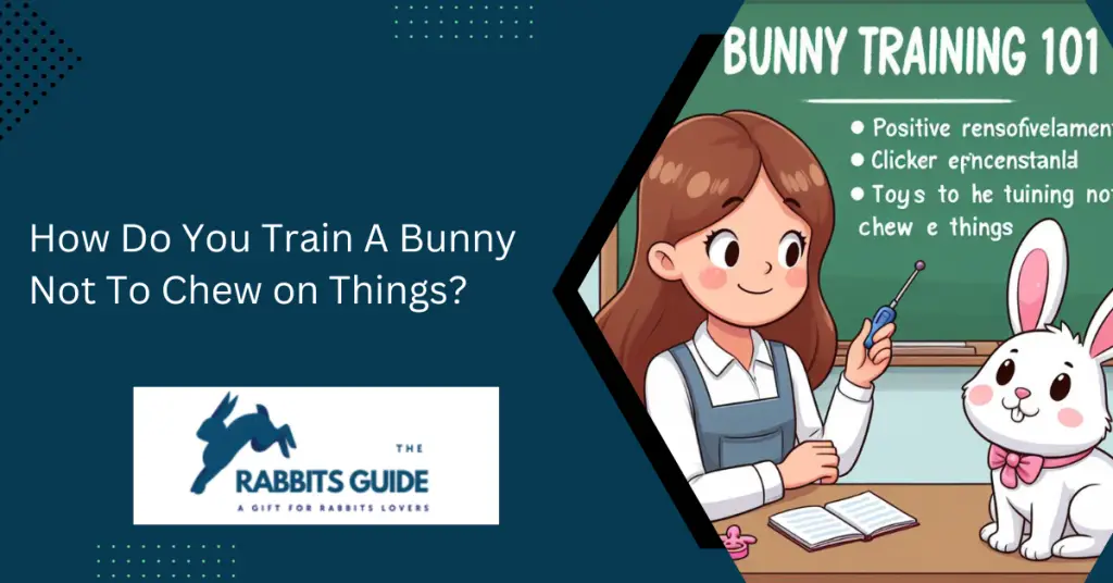 How Do You Train A Bunny Not To Chew on Things? 1 How Do You Train A Bunny Not To Chew on Things?