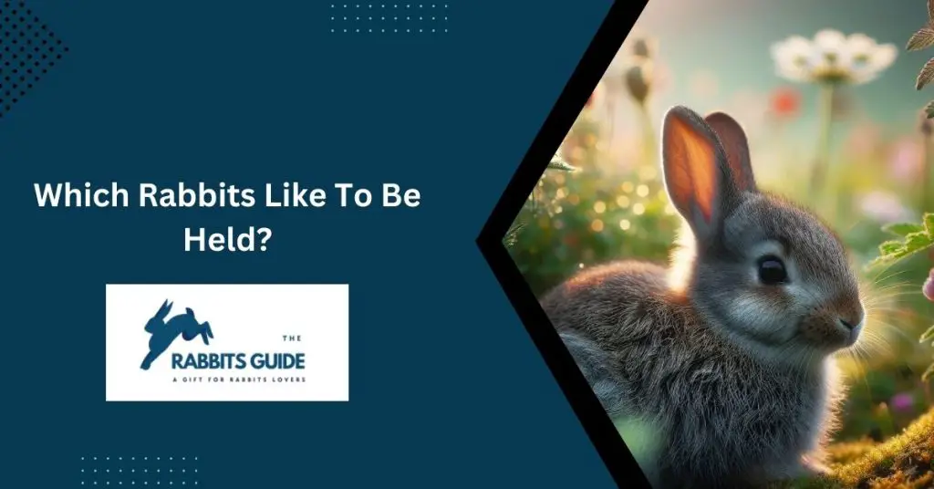 Which Rabbits Like To Be Held?