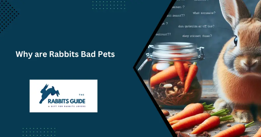 Why are rabbits bad pets?