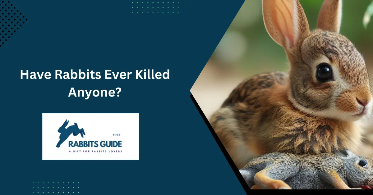 Have Rabbits Ever Killed Anyone? (August 2024)