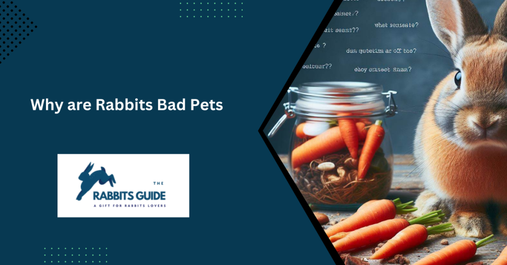 Unveiling The Challenges_Why Are Rabbits Bad Pets? (March 2024)
