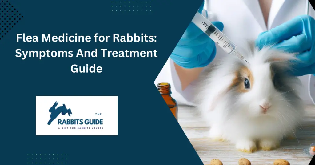 Flea Medicine for Rabbits: Symptoms And Treatment Guide